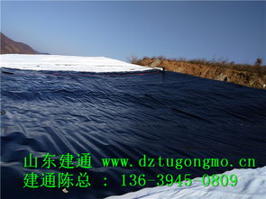 專業高效，品質信賴 探訪江西復合土工布工廠直銷與山東建通建材加工服務