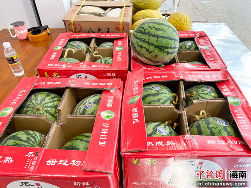 ?？谑胁嘶@子江楠農(nóng)產(chǎn)品批發(fā)市場(chǎng)開(kāi)業(yè)，助力農(nóng)產(chǎn)品流通與區(qū)域經(jīng)濟(jì)發(fā)展